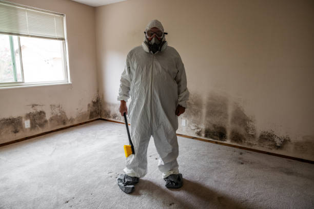 Best Mold Remediation for Specific Building Types in Five Points, NC